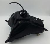 ��� ��������� Zongshen CQR 250��