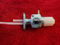 ���� ���������