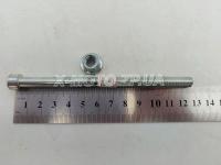 ���� ��������� ���������