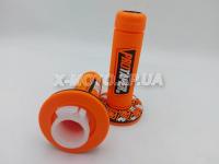 ������ ProTaper ��������� �� �������� ����