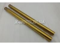 ����� �������� ����� ����� CB-400/ 750/ ��-1/ VTR/ VTEC GOLD