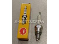 ����� ��������� NGK 4629 / C7HSA