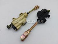 ������� ��������� ������� ������ � ����� ���� � �������.