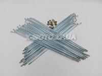 ����� ������ R21 (25.2 �� D-3��) �� ��������