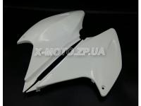 ������ �������� �� ��������� �������� Zongshen CQR 250��