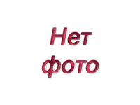 ���.��������� ������������ � ��������� Honda VLX 400 STEED400 (2 ���������)